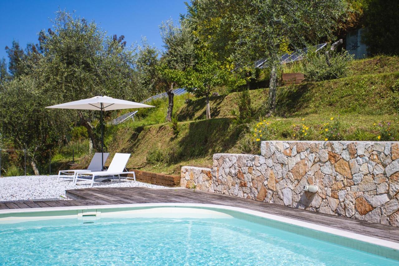 Villa Borgovecchio B&B Camaiore Bagian luar foto